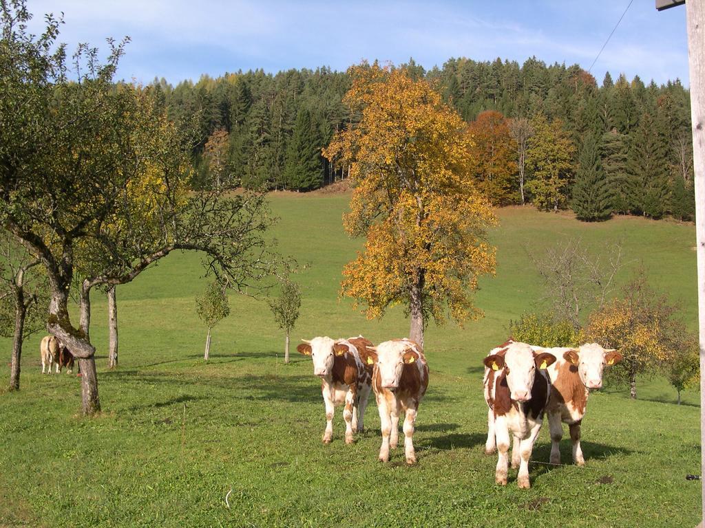 Ferienhaus Lenzau Strohmarkt Exteriér fotografie